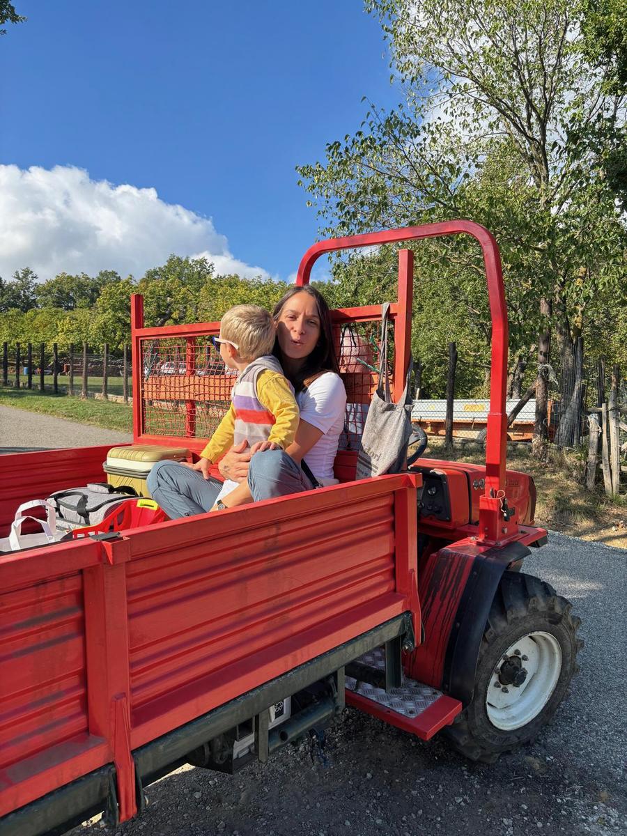 Bambino sul trattore del castagneto