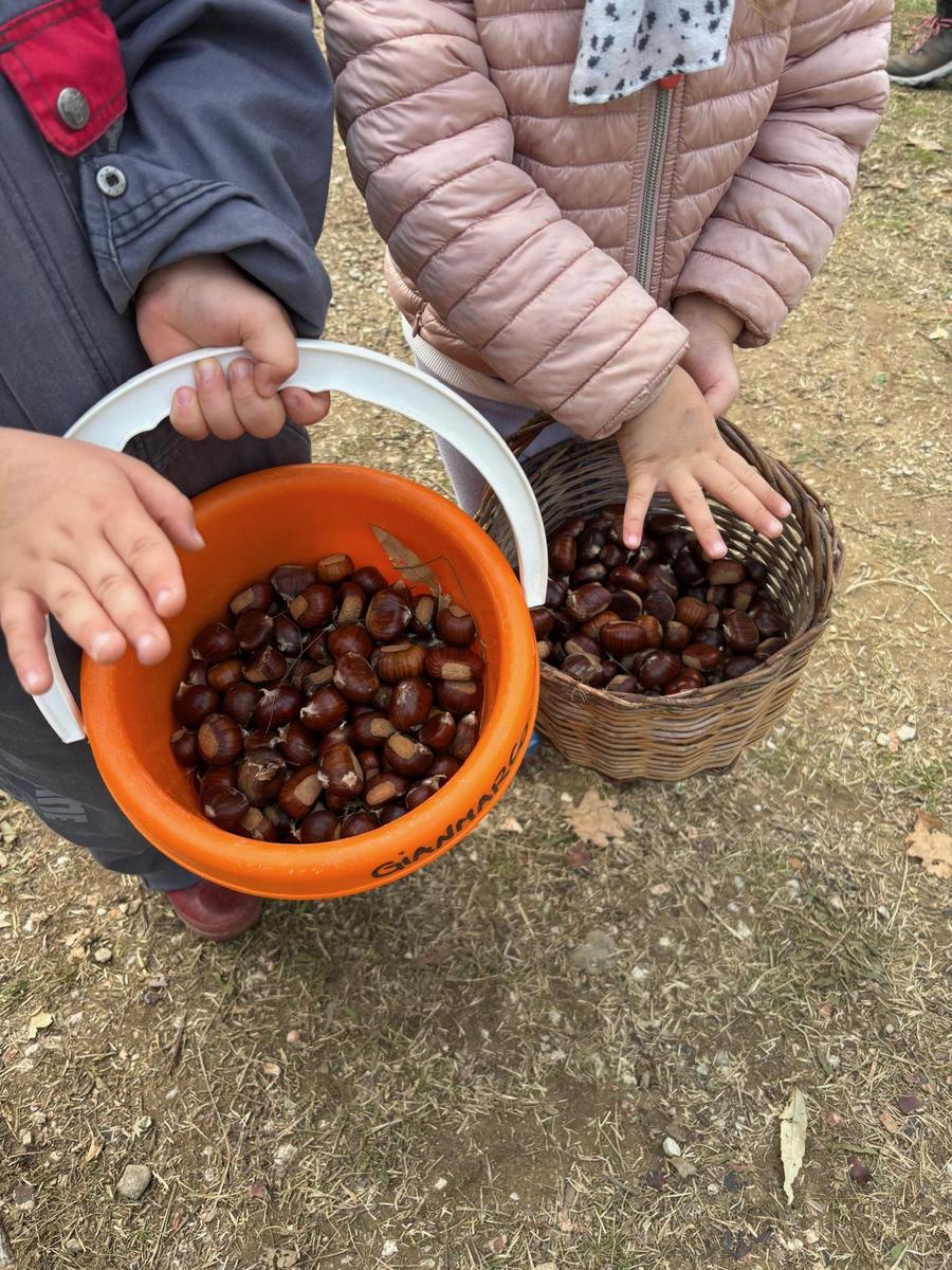 Bambini con il secchiello di castagne