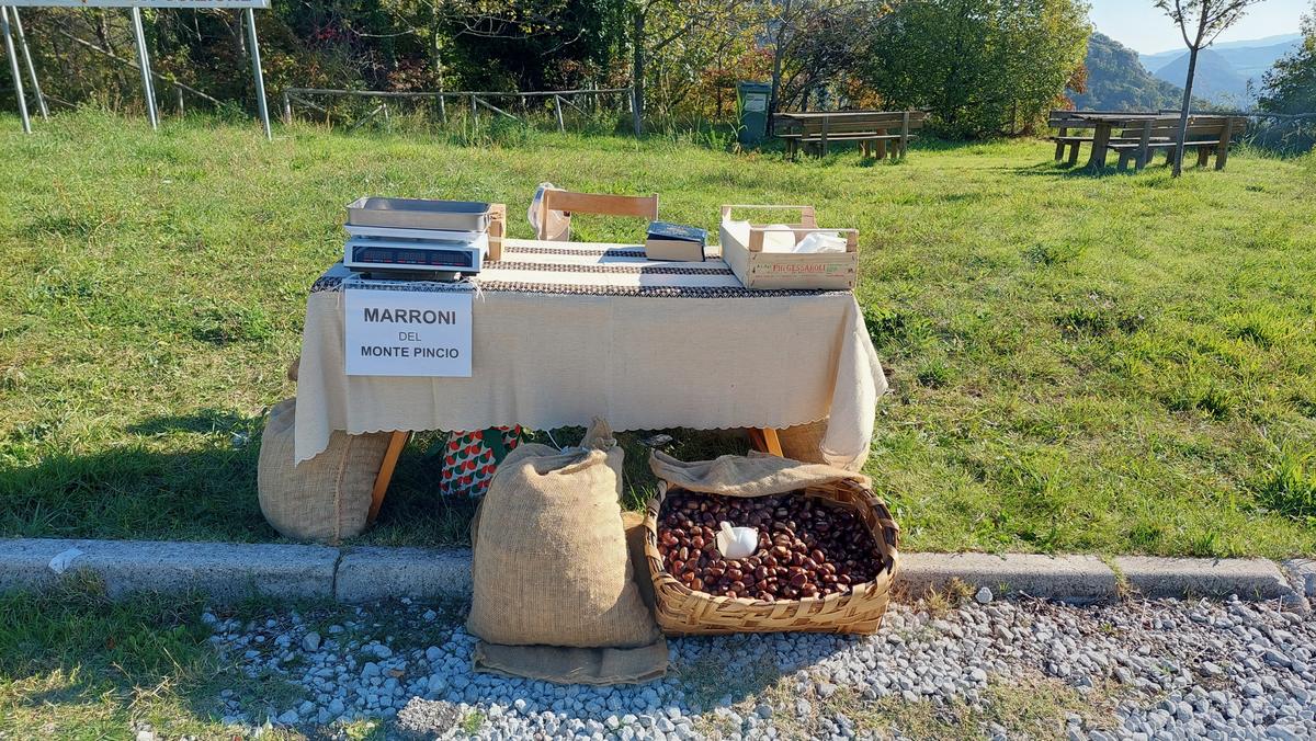 Il banco dei marroni del Monte Pincio