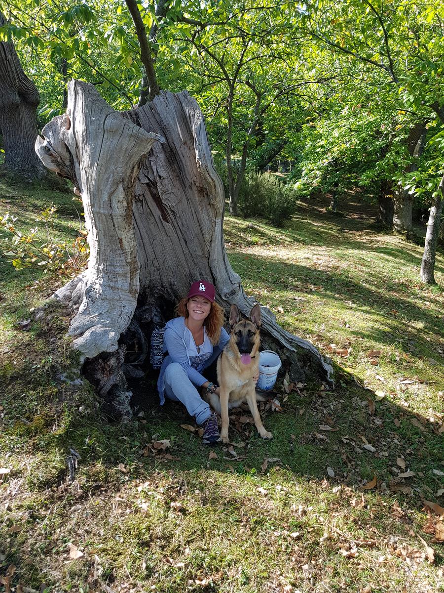 Cane e padrona sotto un vecchio castagno