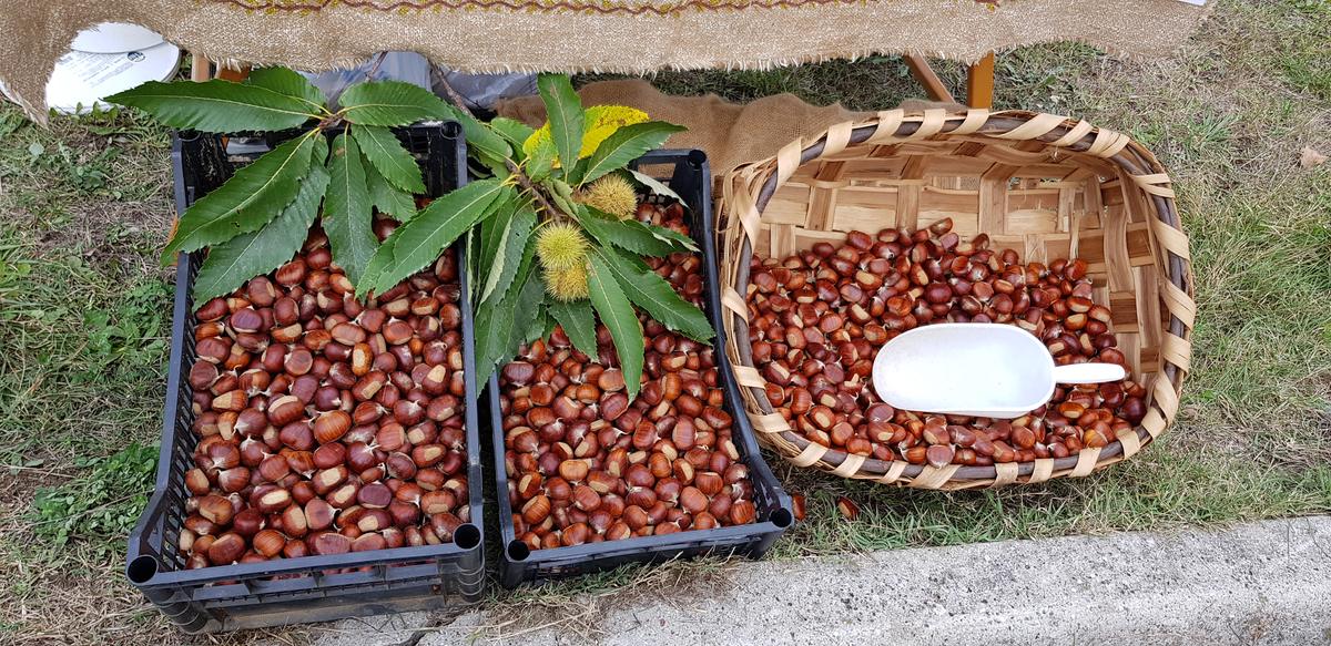 Cassette di marroni in vendita