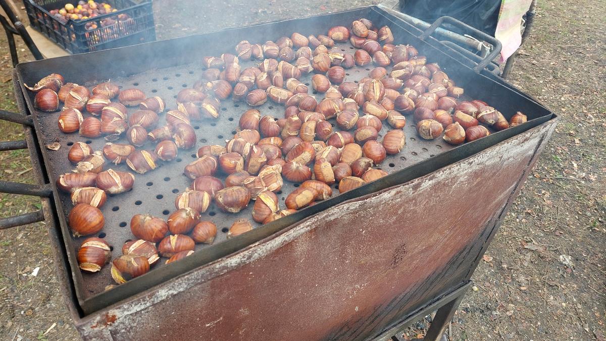 Castagne sulla griglia per le caldarroste