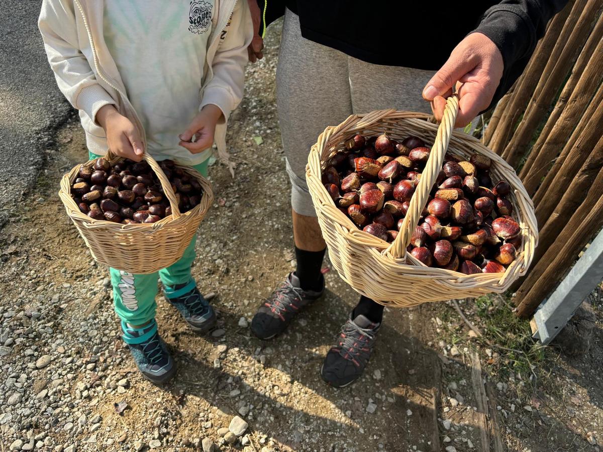 Un cestino piccolo e uno grande pieni di castagne