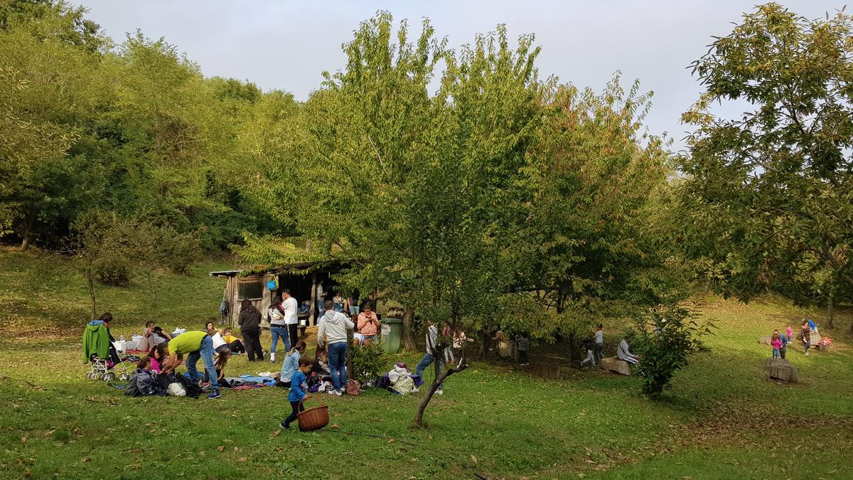 Famiglie nell'area pic-nic del castagneto