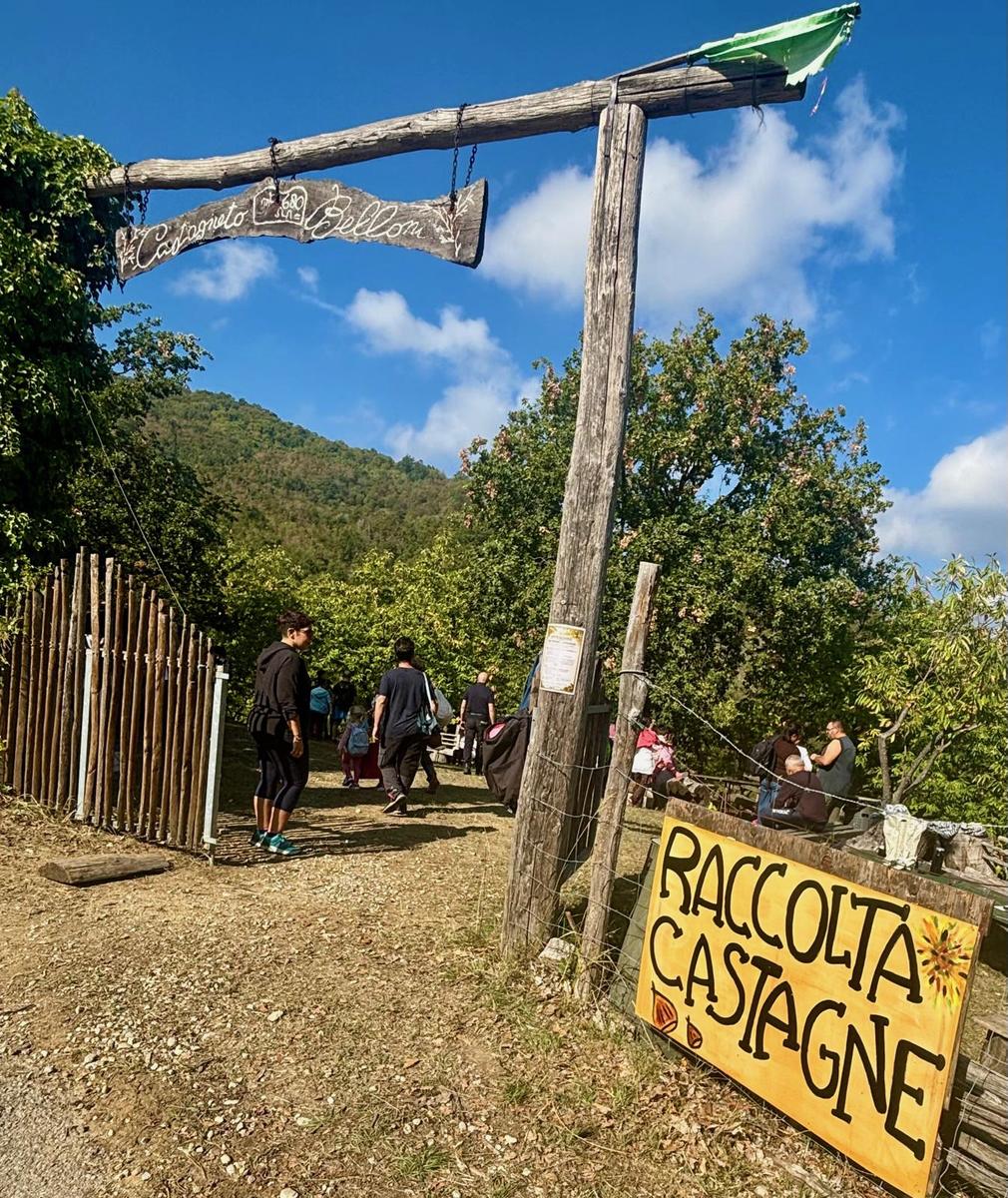 L'ingresso del castagneto con il cartello Raccolta castagne