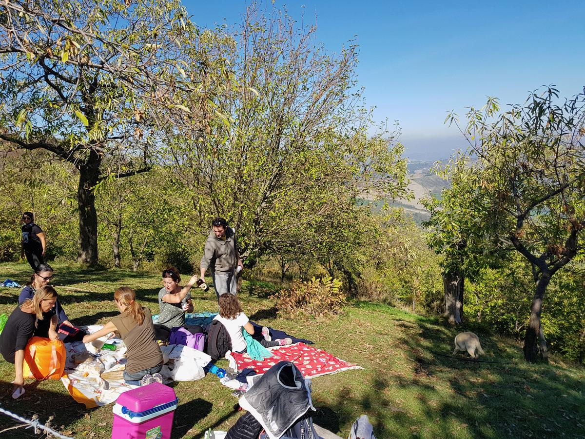 Pic-nic tra i castagni con vista sulla valle