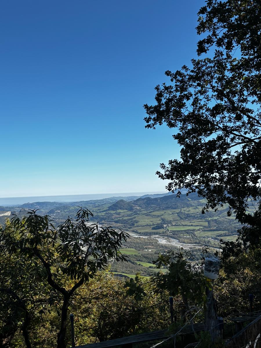 La valle fino al mare vista dal castagneto